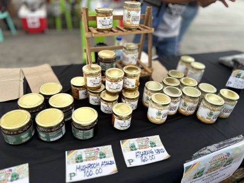 0402025_DTI-Laguna-Partners-with-Local-and-National-Agencies-to-Support-Local-Farmers-and-Consumers-4
