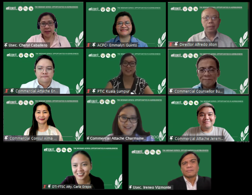 crowd shot of the webinar participants