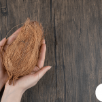 Hands holding a brown, textured natural fiber on a wooden surface.