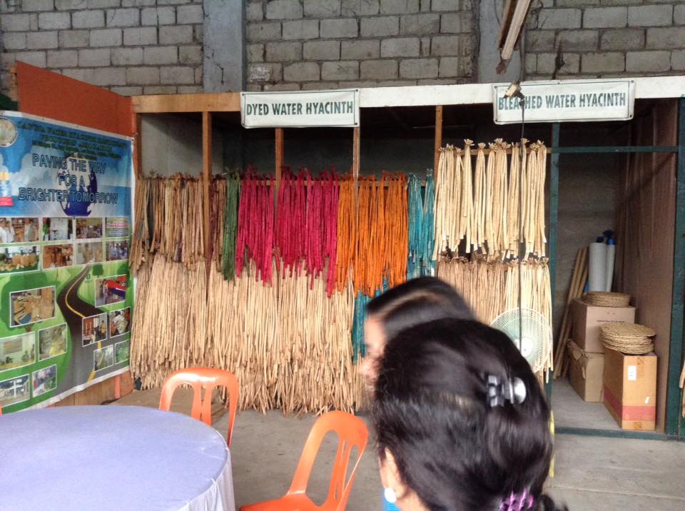 Laguna Water Hyancinth Handicrafts